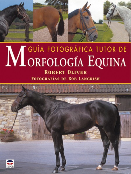Guía fotográfica tutor de morfología equina – ISBN 978-84-7902-412-3. Ediciones Tutor