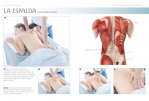 3-Anatomía-del-masaje-978-84-7902-815-2