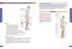4-Anatomía-del-jugador-de-baloncesto-978-84-7902-999-9