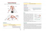 4-Anatomía-del-yoga.-Nueva-edición-ampliada-y-actualizada-978-84-7902-934-0