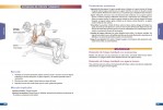 4-Anatomía-de-la-musculación.-Nueva-edición-ampliada-y-actualizada-978-84-16676-34-7