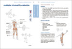 3-Anatomia-del-entrenamiento-funcional-978-84-18655-07-4